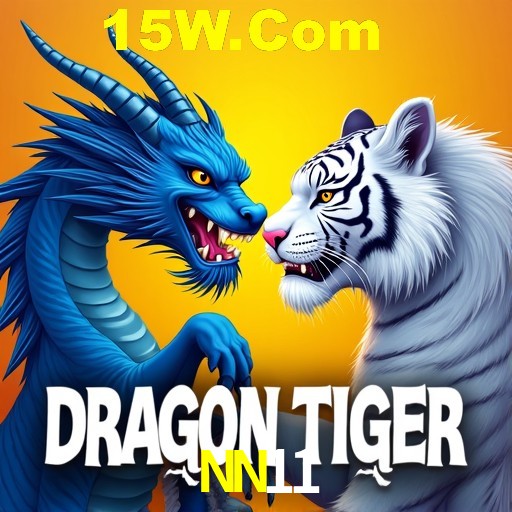 Descubra a Essência do NN11: Nossa História e Compromissos